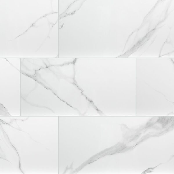 DYMO STATUARY 12X24 GLOSSY