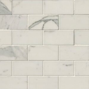 Calacatta Gold 2x4 Polished