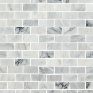 Carrara Classique Brick 1x2 Honed