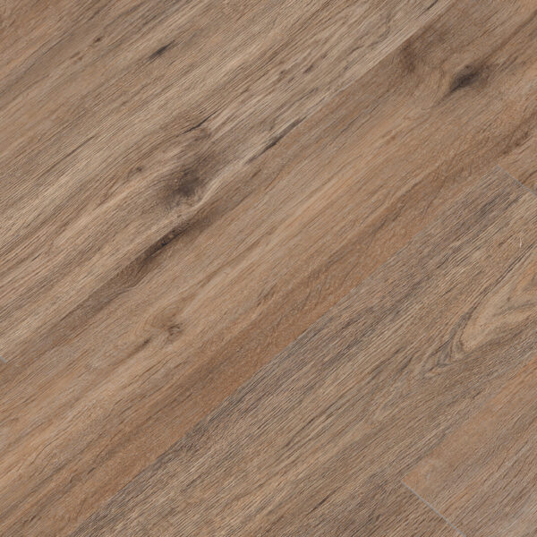 CYRUS 2.0 - FAUNA 7.13X48.03