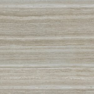 CHARISMA SILVER 12X24 MATTE