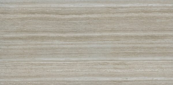 CHARISMA SILVER 12X24 MATTE