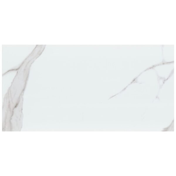 DYMO STATUARY WHITE 12X24 GLOSSY