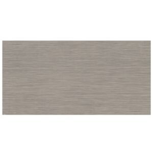 FOCUS GRAPHITE 12X24 MATTE