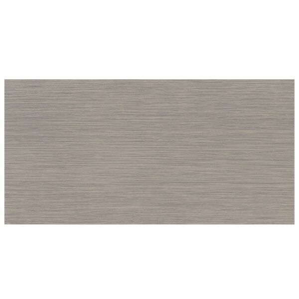 FOCUS GRAPHITE 12X24 MATTE