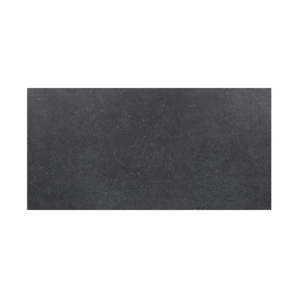 GRIDSCALE GRAPHITE 12X24 MATTE