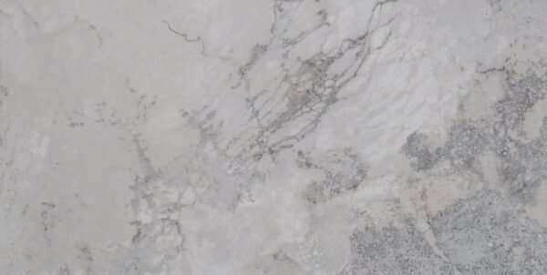 NAPA GRAY 12X24 MATTE