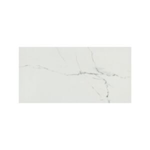 PRAIA CARRARA 12X24 MATTE