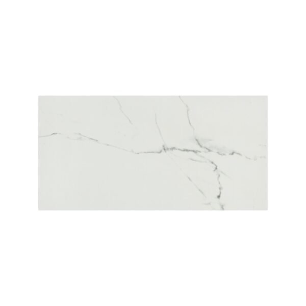 PRAIA CARRARA 12X24 MATTE