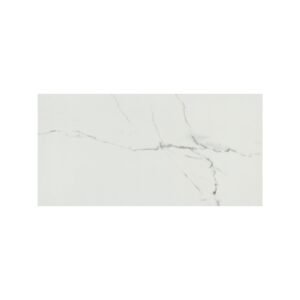 PRAIA CARRARA 12X24 POLISHED