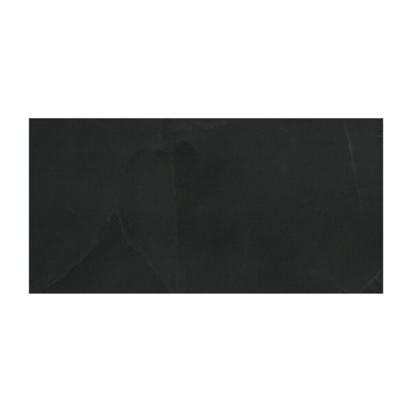 REGALLO MIDNIGHT AGATE 24X48 MATTE