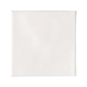 RENZO DOVE 5X5 GLOSSY
