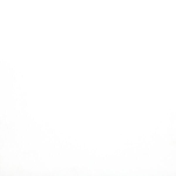 WHITE 24X24 MATTE