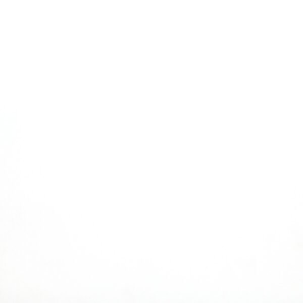 WHITE 24X24 POLISHED