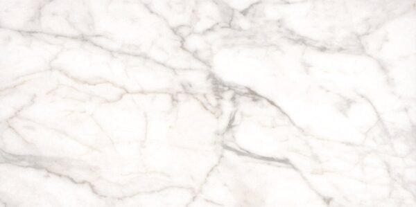 WHITE VENA 12X24 MATTE
