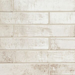 stella-biscotti-2x10-glossy