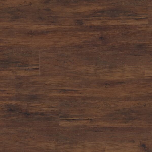 CYRUS - BRALY 7.13X48.03
