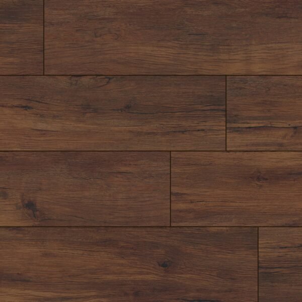 XL CYRUS - BRALY 8.98X60