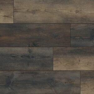 XL CYRUS - STABLE 8.98X60